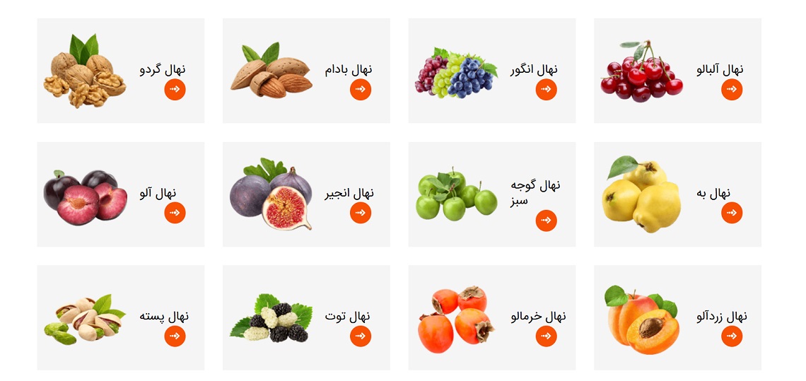 از نهال تا درختان پربار با رویال نهال