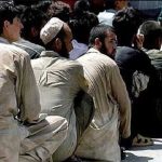 ۲۰۳ تبعه بیگانه غیرمجاز جمع آوری شدند