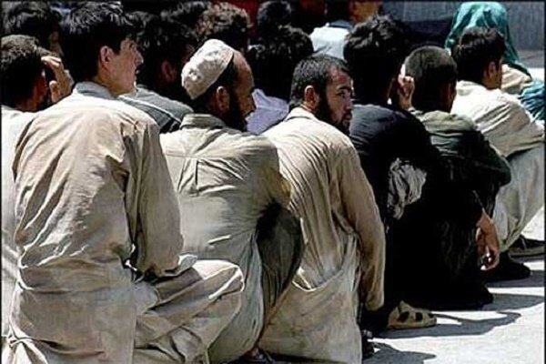 ۲۰۳ تبعه بیگانه غیرمجاز جمع آوری شدند