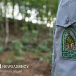 حمله سودجویان به مأموران منابع طبیعی آستارا؛ ۲ نفر مجروح شدند