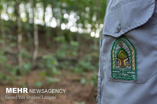 حمله سودجویان به مأموران منابع طبیعی آستارا؛ ۲ نفر مجروح شدند