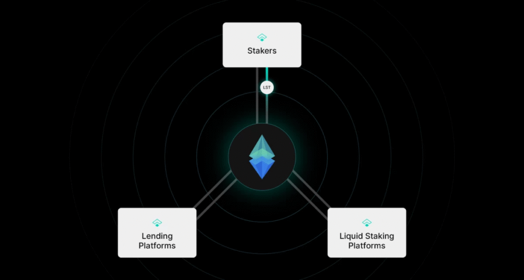 راهنمای جامع Treehouse (TREE) درآمد ثابت در فضای غیرمتمرکز