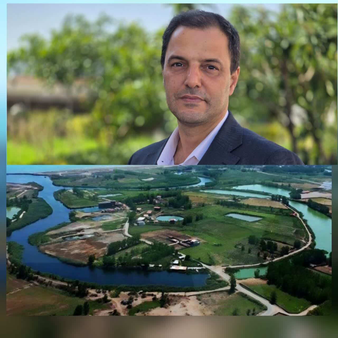 کاشت نهال توسکا در سواحل چاف و چمخاله