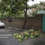 صدور هشدار نارنجی هواشناسی؛ وزش باد خیلی شدید و احتمال طوفال در تهران